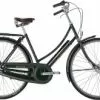 Raleigh Tourist De Luxe Dame 7 Gear - Grøn -Kildemoes Butik 9081744320 1 1