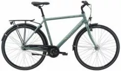 Centurion Challenger Herrecykel - Grøn - 7 Gear - 22"
