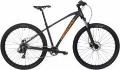 Principia A2.9 29" - Mountainbike - Blank Grå - 19"